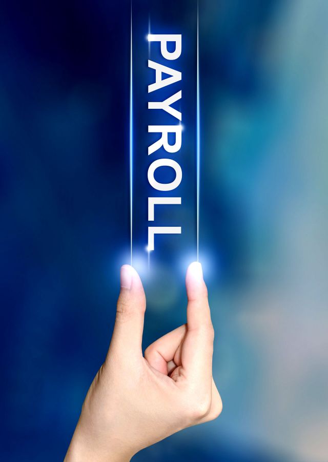 Payroll Services